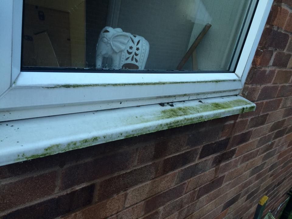 White uPVC window sill with heavy green mould before cleaning
